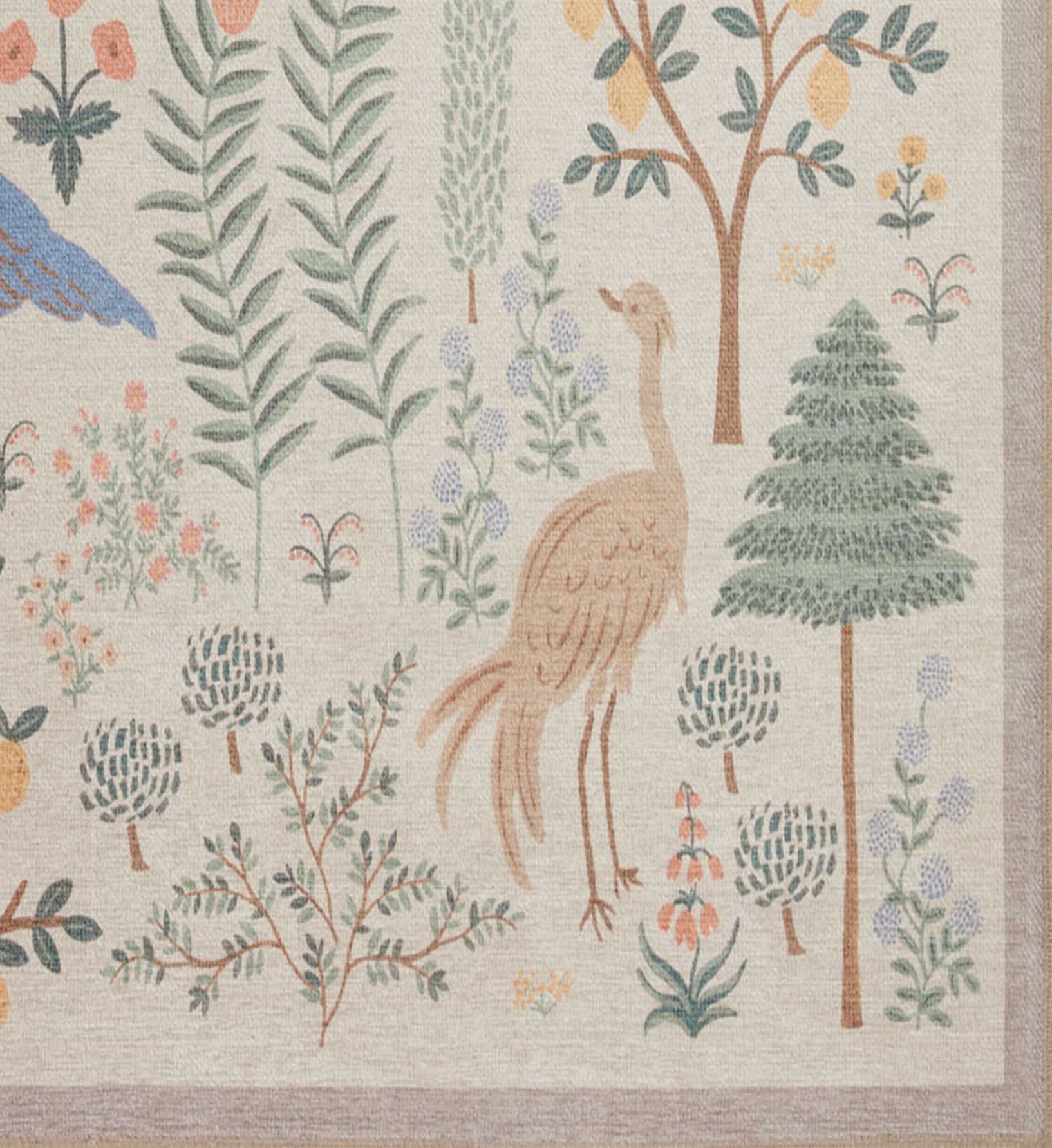  | rug100-03.jpg